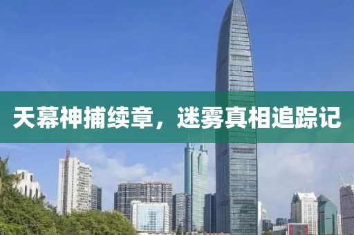 天幕神捕續(xù)章，迷霧真相追蹤記