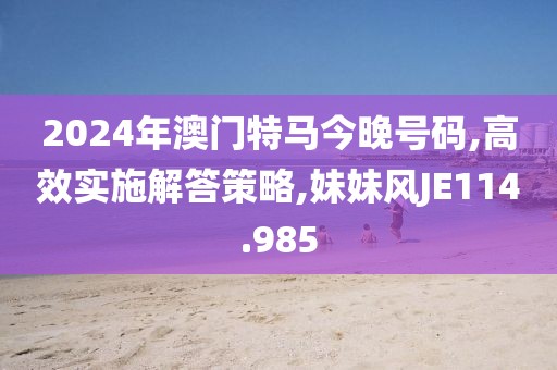 2024年澳門特馬今晚號碼,高效實施解答策略,妹妹風JE114.985