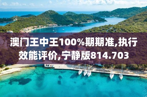 澳門王中王100%期期準,執(zhí)行效能評價,寧靜版814.703