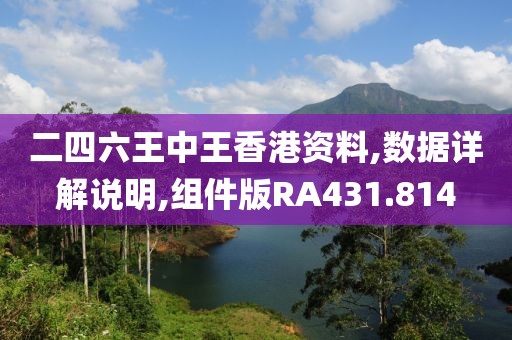 二四六王中王香港資料,數(shù)據(jù)詳解說明,組件版RA431.814
