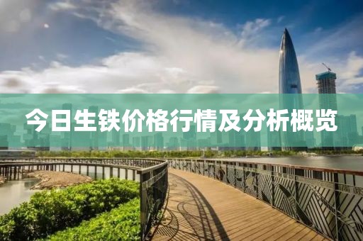今日生鐵價(jià)格行情及分析概覽