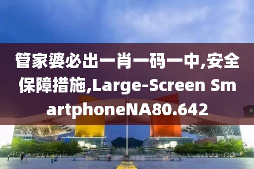 管家婆必出一肖一碼一中,安全保障措施,Large-Screen SmartphoneNA80.642