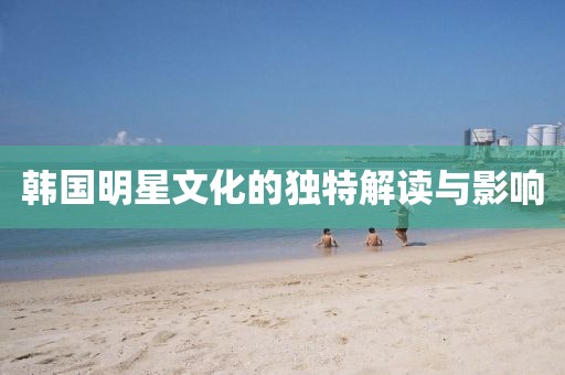 韓國明星文化的獨(dú)特解讀與影響