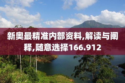 新奧最精準(zhǔn)內(nèi)部資料,解讀與闡釋,隨意選擇166.912