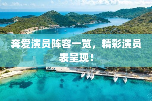 奔愛演員陣容一覽，精彩演員表呈現(xiàn)！