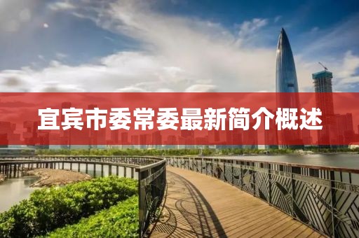 宜賓市委常委最新簡介概述
