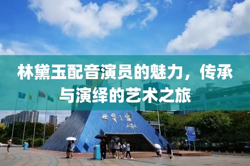 林黛玉配音演員的魅力，傳承與演繹的藝術(shù)之旅