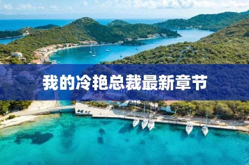 我的冷艷總裁最新章節(jié)