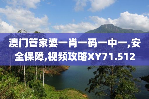 澳門管家婆一肖一碼一中一,安全保障,視頻攻略XY71.512