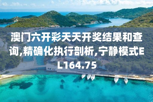 澳門六開(kāi)彩天天開(kāi)獎(jiǎng)結(jié)果和查詢,精確化執(zhí)行剖析,寧?kù)o模式EL164.75