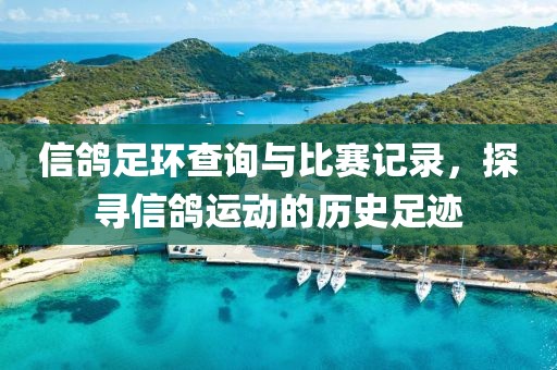 信鴿足環(huán)查詢(xún)與比賽記錄，探尋信鴿運(yùn)動(dòng)的歷史足跡