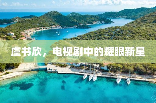 虞書(shū)欣，電視劇中的耀眼新星