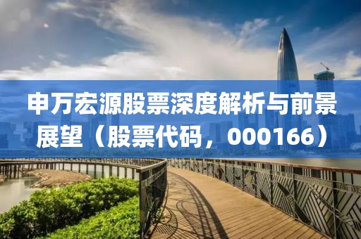 申萬(wàn)宏源股票深度解析與前景展望（股票代碼，000166）