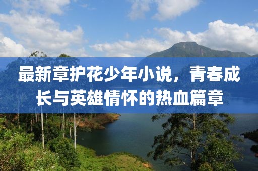 最新章護(hù)花少年小說，青春成長與英雄情懷的熱血篇章