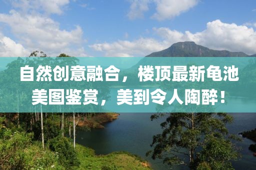 自然創(chuàng)意融合，樓頂最新龜池美圖鑒賞，美到令人陶醉！
