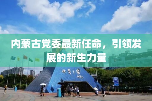 內(nèi)蒙古黨委最新任命，引領(lǐng)發(fā)展的新生力量