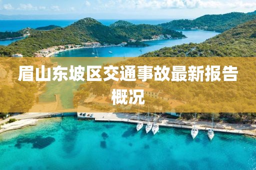 眉山東坡區(qū)交通事故最新報告概況