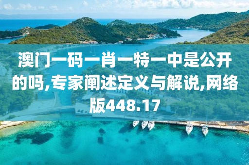澳門一碼一肖一特一中是公開的嗎,專家闡述定義與解說,網絡版448.17