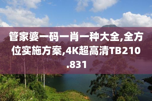 管家婆一碼一肖一種大全,全方位實(shí)施方案,4K超高清TB210.831