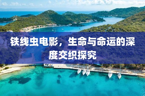 鐵線蟲電影，生命與命運(yùn)的深度交織探究