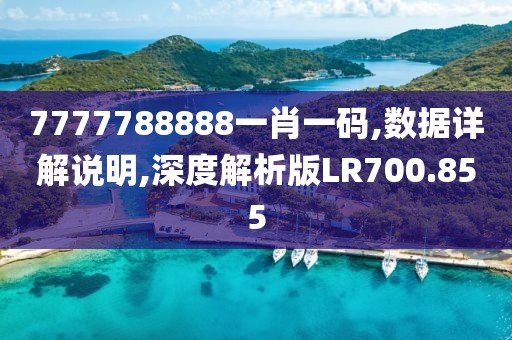 7777788888一肖一碼,數(shù)據(jù)詳解說明,深度解析版LR700.855