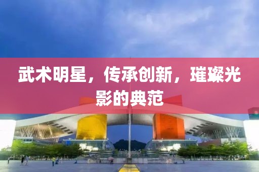 武術(shù)明星，傳承創(chuàng)新，璀璨光影的典范
