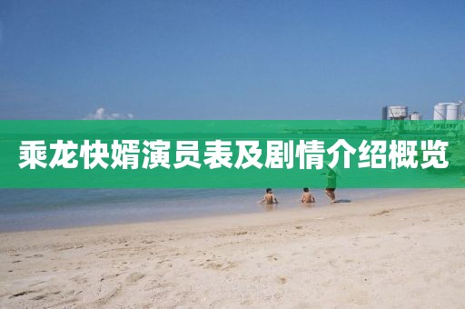 乘龍快婿演員表及劇情介紹概覽