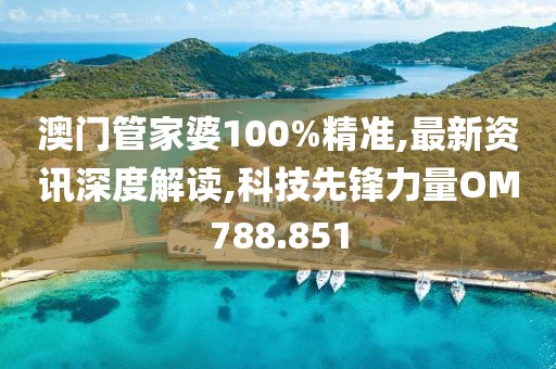 澳門管家婆100%精準,最新資訊深度解讀,科技先鋒力量OM788.851