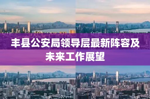 豐縣公安局領導層最新陣容及未來工作展望