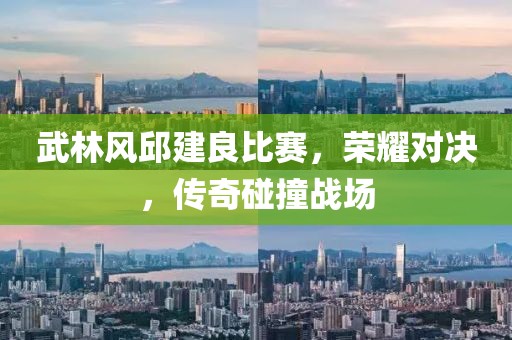 武林風邱建良比賽，榮耀對決，傳奇碰撞戰(zhàn)場