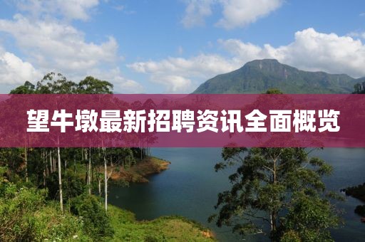 望牛墩最新招聘資訊全面概覽