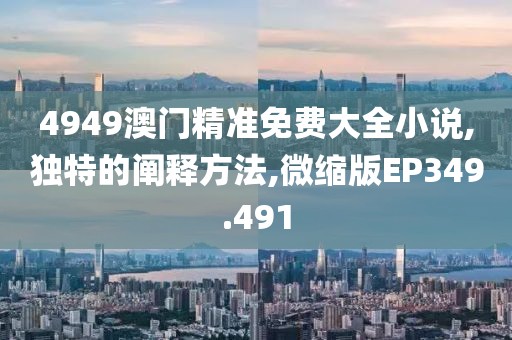 4949澳門(mén)精準(zhǔn)免費(fèi)大全小說(shuō),獨(dú)特的闡釋方法,微縮版EP349.491