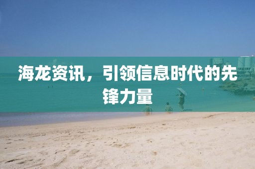 海龍資訊，引領(lǐng)信息時(shí)代的先鋒力量