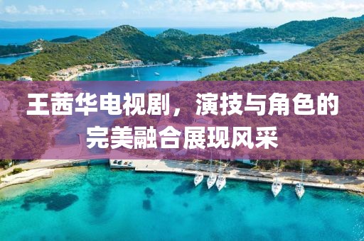 王茜華電視劇，演技與角色的完美融合展現(xiàn)風(fēng)采