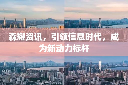 森耀資訊，引領信息時代，成為新動力標桿