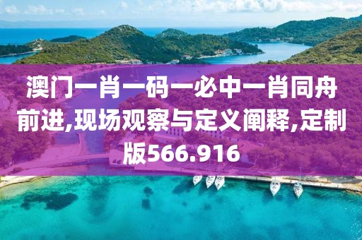澳門一肖一碼一必中一肖同舟前進,現(xiàn)場觀察與定義闡釋,定制版566.916