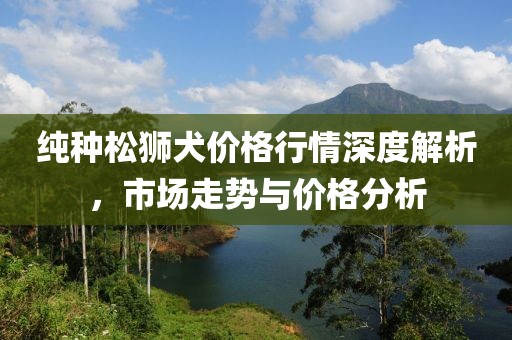 純種松獅犬價格行情深度解析，市場走勢與價格分析