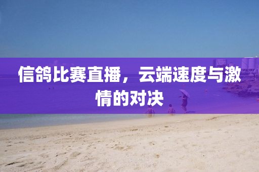 信鴿比賽直播，云端速度與激情的對決