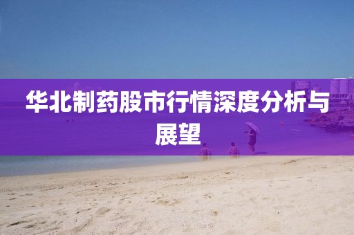 華北制藥股市行情深度分析與展望