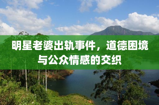 明星老婆出軌事件，道德困境與公眾情感的交織