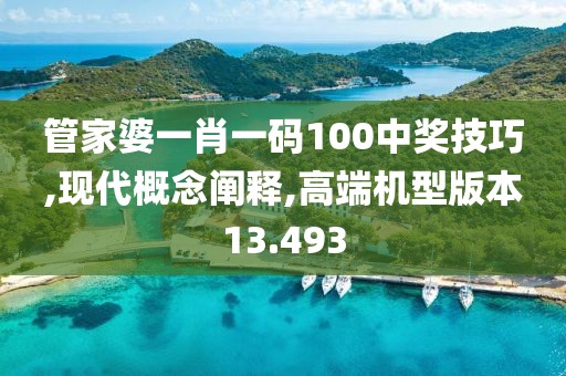 管家婆一肖一碼100中獎技巧,現(xiàn)代概念闡釋,高端機型版本13.493