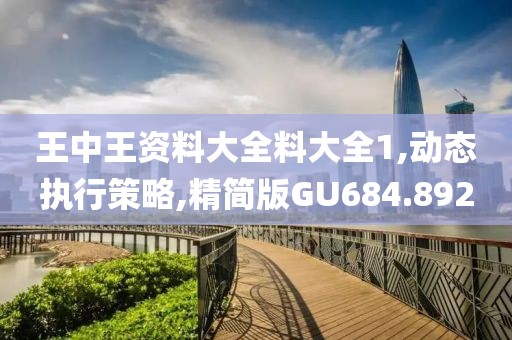 王中王資料大全料大全1,動態(tài)執(zhí)行策略,精簡版GU684.892