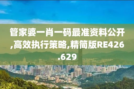 管家婆一肖一碼最準(zhǔn)資料公開,高效執(zhí)行策略,精簡版RE426.629