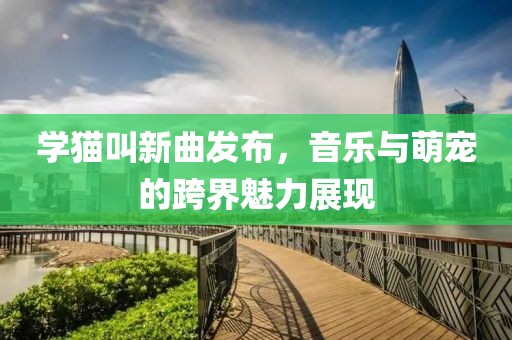 學(xué)貓叫新曲發(fā)布，音樂(lè)與萌寵的跨界魅力展現(xiàn)