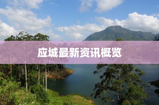 應(yīng)城最新資訊概覽