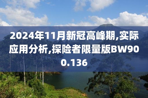 2024年11月新冠高峰期,實(shí)際應(yīng)用分析,探險(xiǎn)者限量版BW900.136