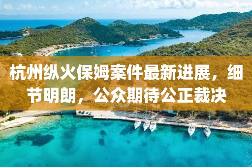 杭州縱火保姆案件最新進(jìn)展，細(xì)節(jié)明朗，公眾期待公正裁決