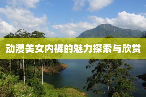 動漫美女內(nèi)褲的魅力探索與欣賞