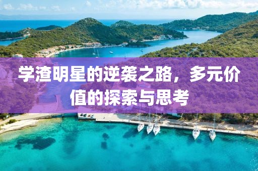 學(xué)渣明星的逆襲之路，多元價(jià)值的探索與思考