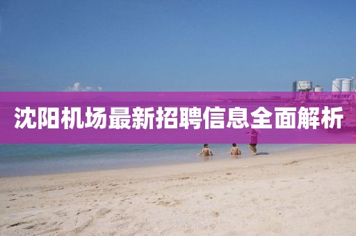沈陽機場最新招聘信息全面解析